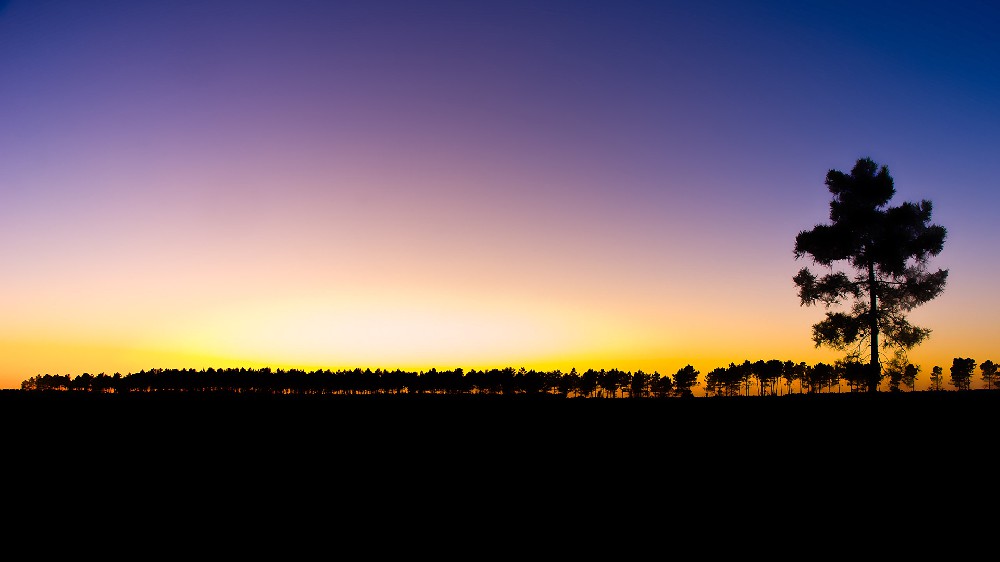 理财经理建群话术(理财经理怎么建立微信群)